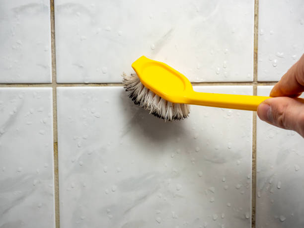 Best Basement Mold Remediation in Jasper, TX