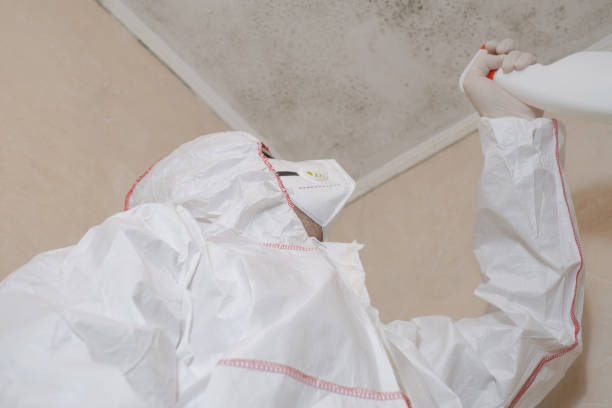 Best Crawl Space Mold Remediation in Jasper, TX